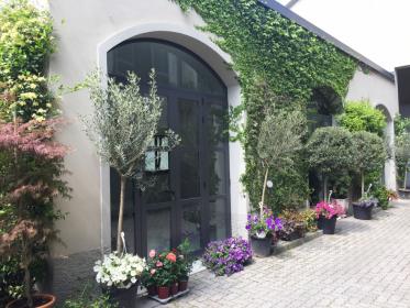 Showroom green in Tortona