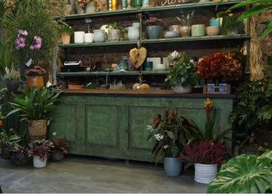 Showroom green in Tortona