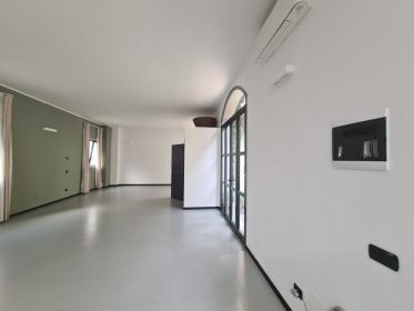 Showroom green in Tortona