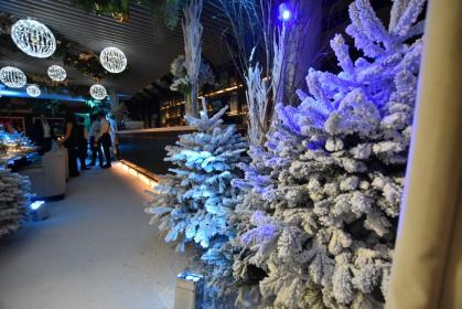 Ristorante stellato in Brera