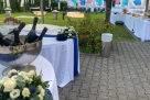 Hotel con plenaria e giardino a bordo piscina