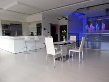 Loft design con terrazza